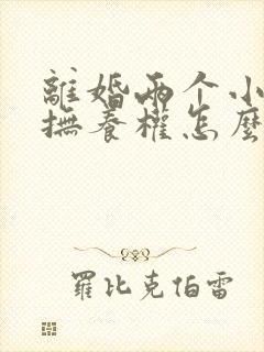 离婚两个小孩子抚养权怎么判定