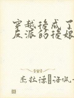 穿越后成了三个反派的后娘的小说