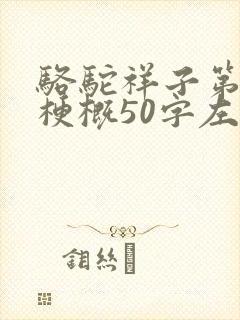 骆驼祥子第六章梗概50字左右