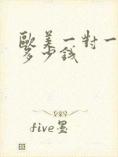 欧美一对一外教多少钱