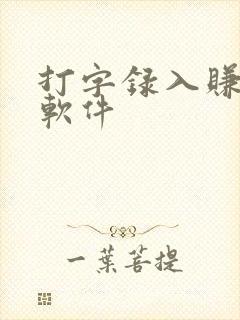 打字录入赚钱的软件