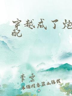 穿越成了炮灰女配