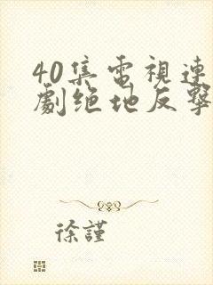 40集电视连续剧绝地反击