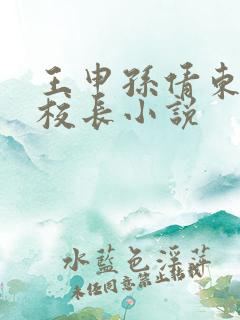 王申孙倩东子高校长小说