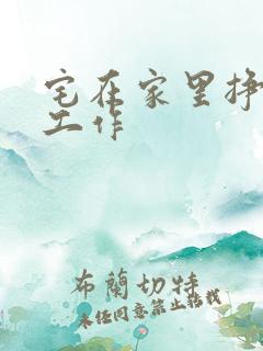 宅在家里挣钱的工作