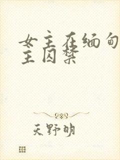 女主在缅甸被男主囚禁