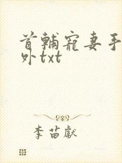 首辅宠妻手札番外txt