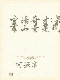 官场奇才:最强靠山竟是我自己李澜小说免