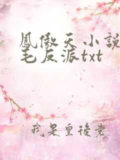 凤傲天小说里黄毛反派txt