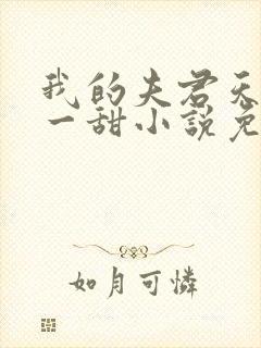 我的夫君天下第一甜小说免费阅读