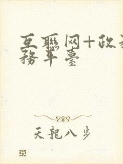 互联网+政务服务平台