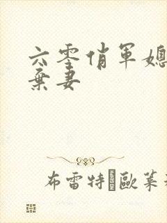 六零俏军媳重生弃妻