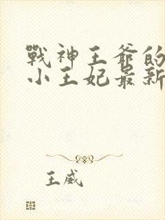 战神王爷的调皮小王妃最新章节