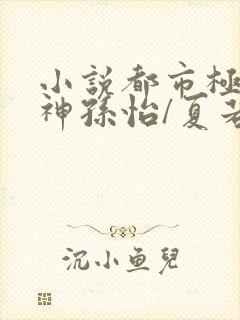 小说都市极品医神孙怡/夏若雪免费下载