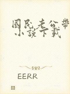 国民老公带回家 小说下载