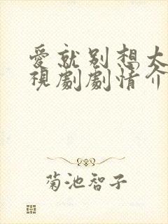 爱就别想太多电视剧剧情介绍