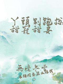 丫头别跑总裁的甜宠甜妻