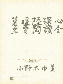 莫暖陆琛心尖宠免费阅读全文