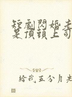 短剧闪婚老公竟是顶头上司大结局