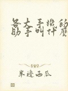 各大手机的语音助手叫什么