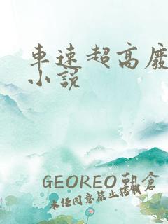 车速超高废文的小说