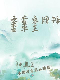 要查车牌号怎么查车主