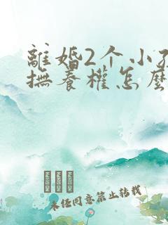 离婚2个小孩子抚养权怎么判定