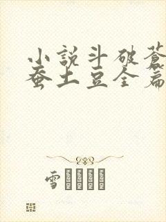 小说斗破苍穹天蚕土豆全篇