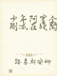 少年阿宾全文无删减在线阅读