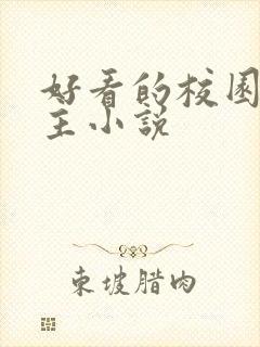 好看的校园双男主小说