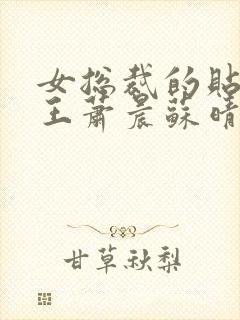 女总裁的贴身兵王萧晨苏晴