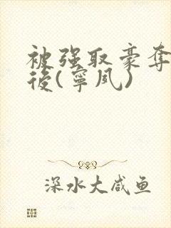 被强取豪夺多年后(宁夙)