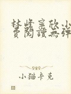 林峰宁欣小说免费阅读无弹窗