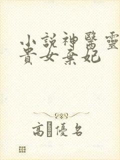 小说神医灵泉:贵女弃妃