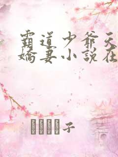 霸道少爷天才小娇妻小说在线阅读全文