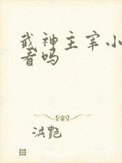 武神主宰小说好看吗