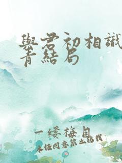 与君初相识林昊青结局