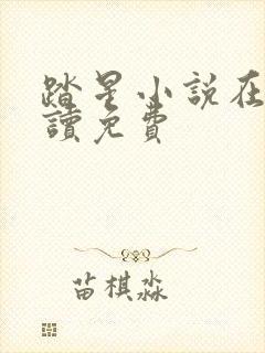 踏星小说在线阅读免费