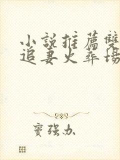 小说推荐双男主追妻火葬场