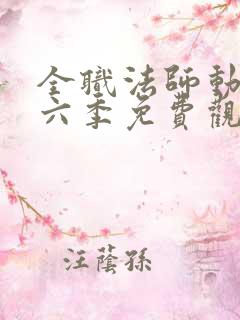 全职法师动漫第六季免费观看全集