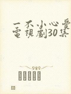 一不小心爱上你电视剧30集