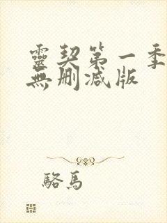 灵契第一季全集无删减版