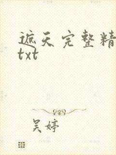 遮天完整精校版txt