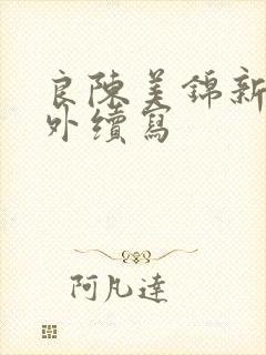 良陈美锦新增番外续写