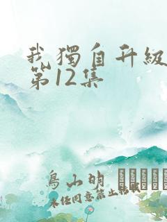 我独自升级动漫第12集