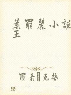 叶罗丽小说双男主