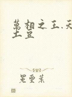 万相之王.天蚕土豆
