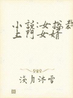 小说:女总裁的上门女婿