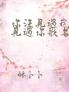 你没见过我我没见过你歌名