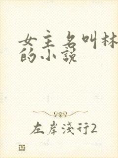 女主名叫林晚晚的小说